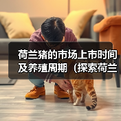 荷兰猪的市场上市时间及养殖周期（探索荷兰猪饲养时间的关键因素）（图3）