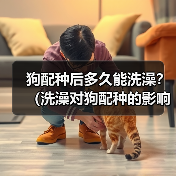 狗配种后多久能洗澡？（洗澡对狗配种的影响及最佳时间选择）（图4）