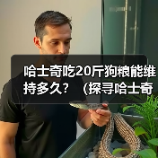 哈士奇吃20斤狗粮能维持多久?(探寻哈士奇的饮食需求与狗粮消耗速度)(图4) 哈士奇吃20斤狗粮能维持多久?(探寻哈士奇的饮食需求与狗粮消耗速度)(图4)