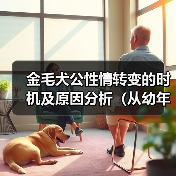 金毛犬公性情转变的时机及原因分析（从幼年到成年）（图2）