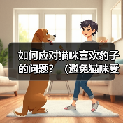 如何应对猫咪喜欢豹子的问题？（避免猫咪受到豹子的攻击，让它们和平相处）