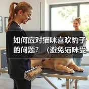 如何应对猫咪喜欢豹子的问题？（避免猫咪受到豹子的攻击，让它们和平相处）（图3）