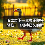哈士奇下一窝崽子即将降临！（期待已久的新生命，给家庭带来无限欢乐。）（图3）