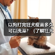 以狗打完狂犬疫苗多久可以洗澡？（了解狂犬疫苗和洗澡的关系，保护宠物健康）（图2）
