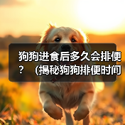 狗狗进食后多久会排便？（揭秘狗狗排便时间的秘密，了解你的宠物需求）（图2）