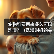 宠物狗买回来多久可以洗澡？（洗澡时机的关键是什么？）
