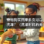 宠物狗买回来多久可以洗澡？（洗澡时机的关键是什么？）（图2）