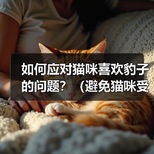 如何应对猫咪喜欢豹子的问题？（避免猫咪受到豹子的攻击，让它们和平相处）（图2）