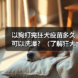 以狗打完狂犬疫苗多久可以洗澡？（了解狂犬疫苗和洗澡的关系，保护宠物健康）（图3）