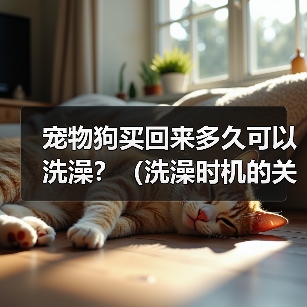 宠物狗买回来多久可以洗澡？（洗澡时机的关键是什么？）（图4）