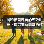 揭秘猫营养膏的见效时长(探究猫营养膏的作用和效果,了解宠物猫所需的摄入时间)(图3) 揭秘猫营养膏的见效时长(探究猫营养膏的作用和效果,了解宠物猫所需的摄入时间)(图3)