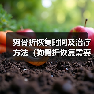 狗骨折恢复时间及治疗方法(狗骨折恢复需要多长时间?如何帮助狗狗快速康复?)(图4) 狗骨折恢复时间及治疗方法(狗骨折恢复需要多长时间?如何帮助狗狗快速康复?)(图4)