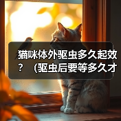 猫咪体外驱虫多久起效？（驱虫后要等多久才能见效？）（图2）