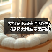 大狗站不起来原因分析（探究大狗站不起来的具体原因及解决方法）