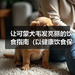 让可蒙犬毛发亮丽的饮食指南(以健康饮食保护宠物被毛,让可蒙犬变得更美丽)(图2) 让可蒙犬毛发亮丽的饮食指南(以健康饮食保护宠物被毛,让可蒙犬变得更美丽)(图2)