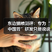 东边猫粮测评：专为“中国胃”研发只是说说而已吗？