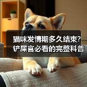 猫咪发情期多久结束？铲屎官必看的完整科普