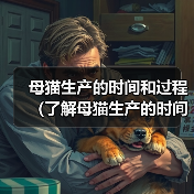 母猫生产的时间和过程(了解母猫生产的时间和过程,帮助您关心和照顾猫咪健康)(图3) 母猫生产的时间和过程(了解母猫生产的时间和过程,帮助您关心和照顾猫咪健康)(图3)