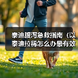 泰迪腹泻急救指南（以泰迪拉稀怎么办最有效）