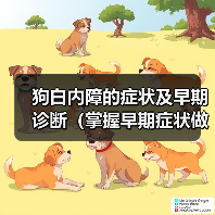 狗白内障的症状及早期诊断(掌握早期症状做好疾病防控)(图2) 狗白内障的症状及早期诊断(掌握早期症状做好疾病防控)(图2)