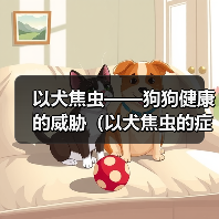 以犬焦虫——狗狗健康的威胁（以犬焦虫的症状及预防措施）（图4）