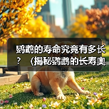 鹦鹉的寿命究竟有多长？（揭秘鹦鹉的长寿奥秘，让你掌握延长鹦鹉寿命的方法）（图2）