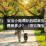 宝宝小狗喂奶的频率究竟是多少？（探究刚生宝宝小狗喂奶的最佳时间间隔和奶量）