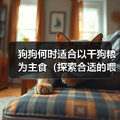 狗狗何时适合以干狗粮为主食（探索合适的喂养时间和食物过渡方法）