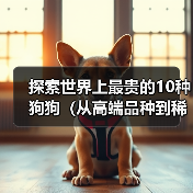 探索世界上最贵的10种狗狗（从高端品种到稀有品种，这些狗狗的价格让你瞠目结舌！）（图4）