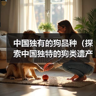 中国独有的狗品种（探索中国独特的狗类遗产）（图3）
