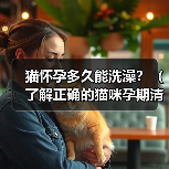 猫怀孕多久能洗澡？（了解正确的猫咪孕期清洁护理方法）（图3）