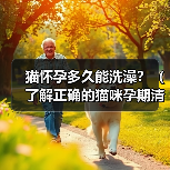 猫怀孕多久能洗澡？（了解正确的猫咪孕期清洁护理方法）（图2）