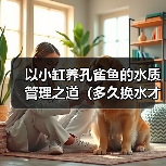 以小缸养孔雀鱼的水质管理之道（多久换水才能让孔雀鱼健康成长？）