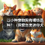 以小种宠物狗有哪些品种?(探索各类迷你犬的迷人特质和适应家庭生活的优势)(图2) 以小种宠物狗有哪些品种?(探索各类迷你犬的迷人特质和适应家庭生活的优势)(图2)