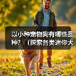 以小种宠物狗有哪些品种？（探索各类迷你犬的迷人特质和适应家庭生活的优势）