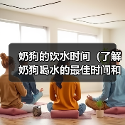 奶狗的饮水时间（了解奶狗喝水的最佳时间和频率）（图3）