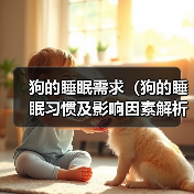狗的睡眠需求(狗的睡眠习惯及影响因素解析,找寻适合狗狗的睡眠时间)(图4) 狗的睡眠需求(狗的睡眠习惯及影响因素解析,找寻适合狗狗的睡眠时间)(图4)