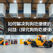 如何解决狗狗吃便便的问题（探究狗狗吃便便的原因及矫正方法）（图4）