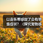 以喜乐蒂感冒了会有哪些症状?(探究宠物感冒症状,提高宠物健康)(图4) 以喜乐蒂感冒了会有哪些症状?(探究宠物感冒症状,提高宠物健康)(图4)