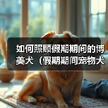 如何照顾假期期间的博美犬（假期期间宠物犬的饮食、运动、训练和安全等问题）