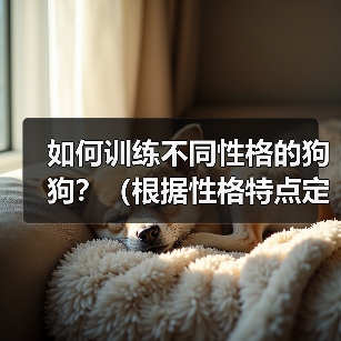 如何训练不同性格的狗狗？（根据性格特点定制训练计划，让宠物更加听话）