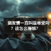 猫发情一直叫是难受吗？该怎么缓解？