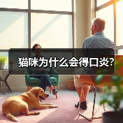 猫咪为什么会得口炎?(图4) 猫咪为什么会得口炎?(图4)