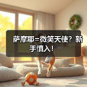 萨摩耶=微笑天使？新手慎入！（图2）