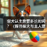 柴犬认主需要多长时间？（探寻柴犬与主人建立深厚关系的时程及关键因素）（图1）