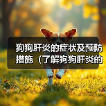 狗狗肝炎的症状及预防措施（了解狗狗肝炎的常见症状，保护它们的健康）（图2）