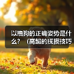 以撸狗的正确姿势是什么？（高超的抚摸技巧让它爱上你）（图2）
