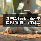 泰迪换牙后长出新牙需要多长时间？（了解泰迪犬牙齿生长周期及细节）（图3）