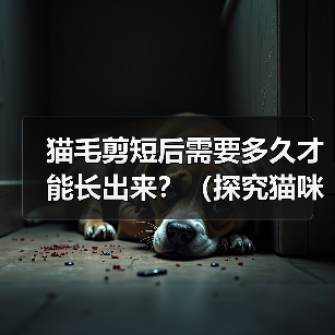 猫毛剪短后需要多久才能长出来？（探究猫咪剪毛后恢复生长的时间及关键因素）（图3）