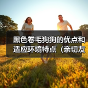 黑色卷毛狗狗的优点和适应环境特点（亲切友善、适合家庭生活的黑色卷毛狗狗）（图2）
